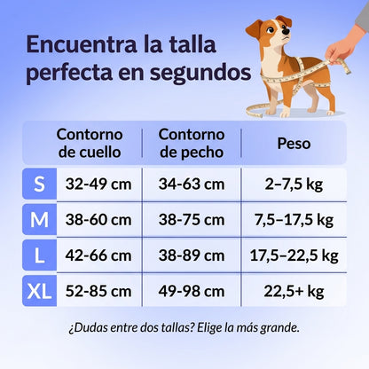 PaseoPro