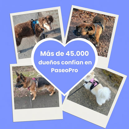 PaseoPro