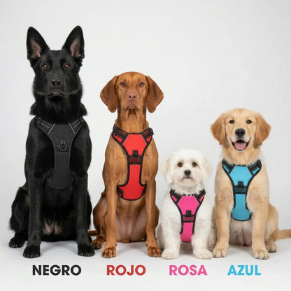 PaseoPro